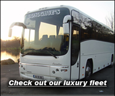 Luxury fleet of buses in Ireland
